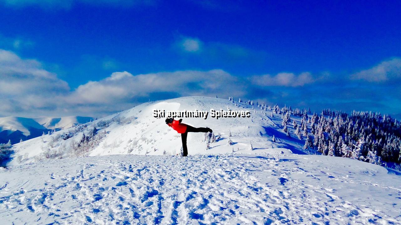 Ski Apartmany Spiezovec Доновалы Экстерьер фото