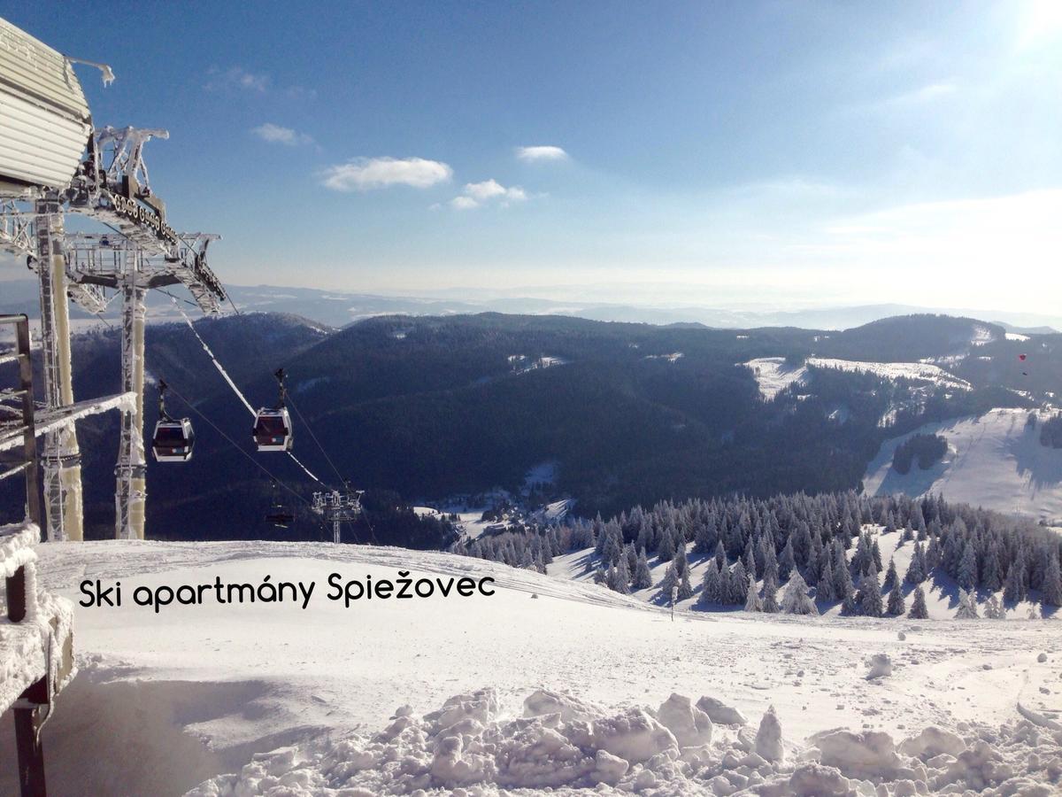 Ski Apartmany Spiezovec Доновалы Экстерьер фото