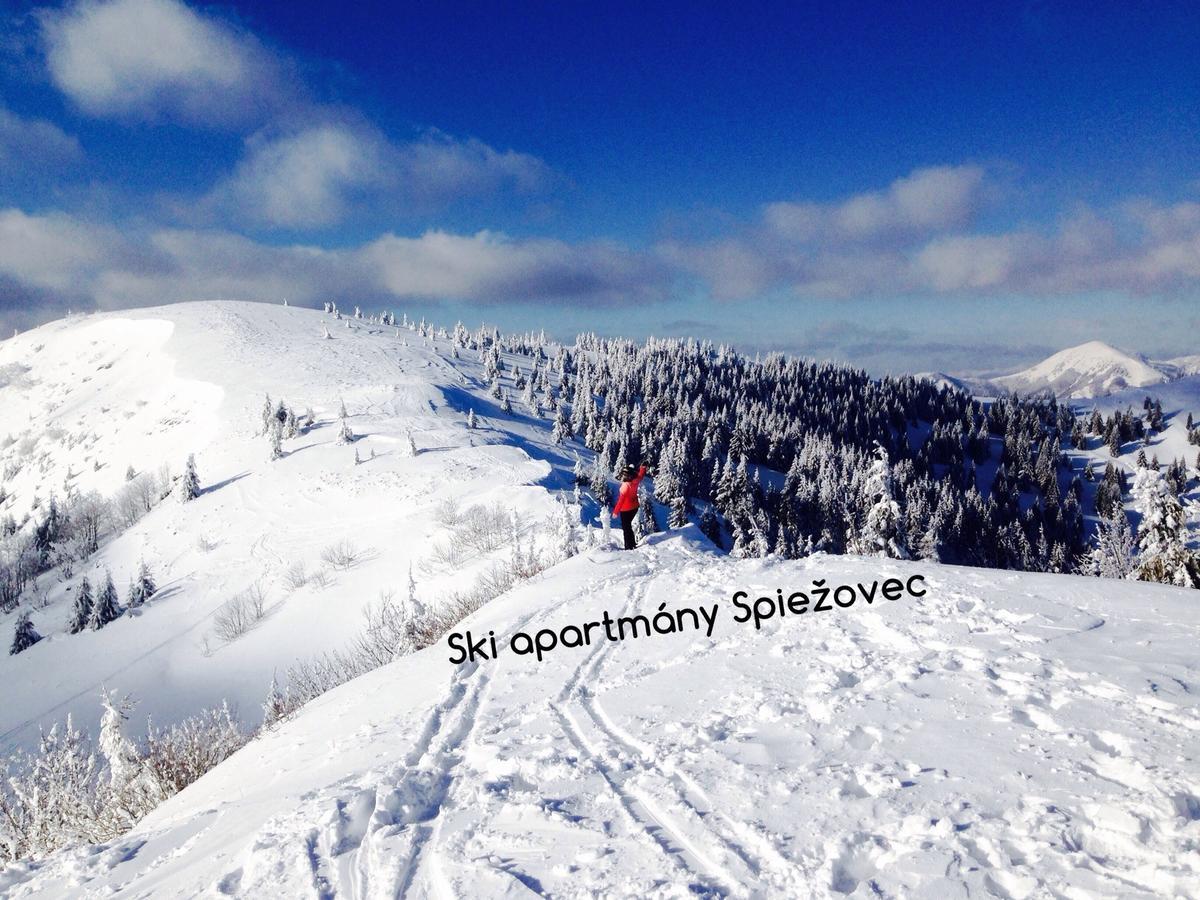 Ski Apartmany Spiezovec Доновалы Экстерьер фото